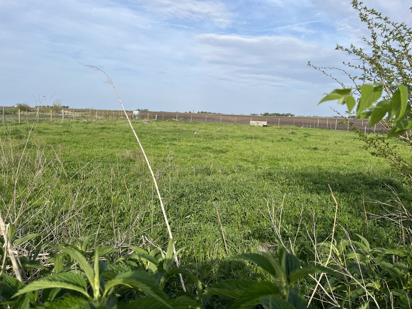 2990 Kane Road Leland, IL 60531 - Photo 42 of 42 a view of a field with an outdoor space