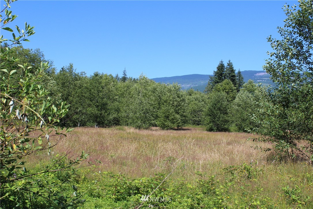 22269 Grip Road Sedro-Woolley, WA 98284 - Photo 11 of 12 Gallery Image 11