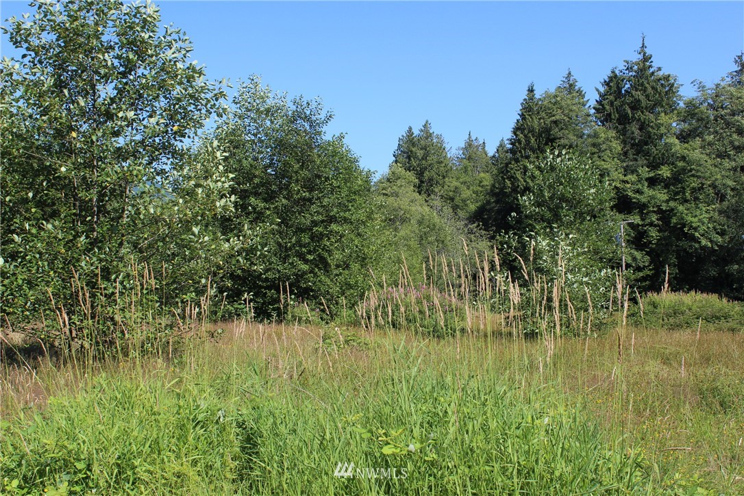 22269 Grip Road Sedro-Woolley, WA 98284 - Photo 5 of 12 Gallery Image 5