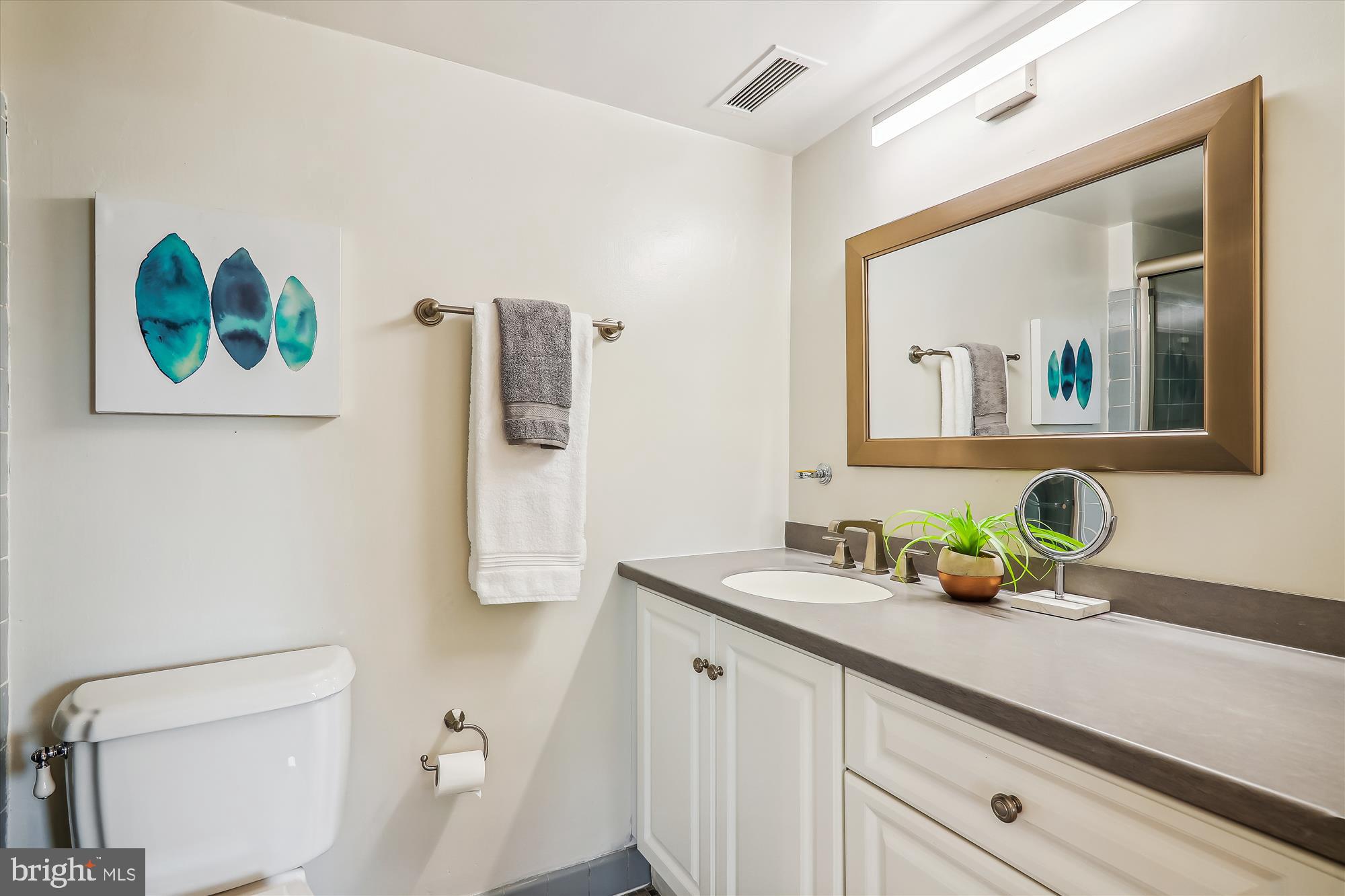 2100 Washington Avenue, Unit 8D Silver Spring, MD 20910 - Photo 27 of 35 Hall bathroom
