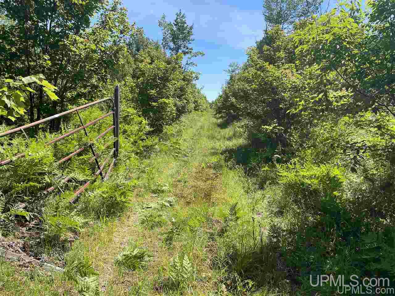 Tbd Off Cooks Lake Road, Unit 1 Wetmore, MI 49895 - Photo 17 of 19