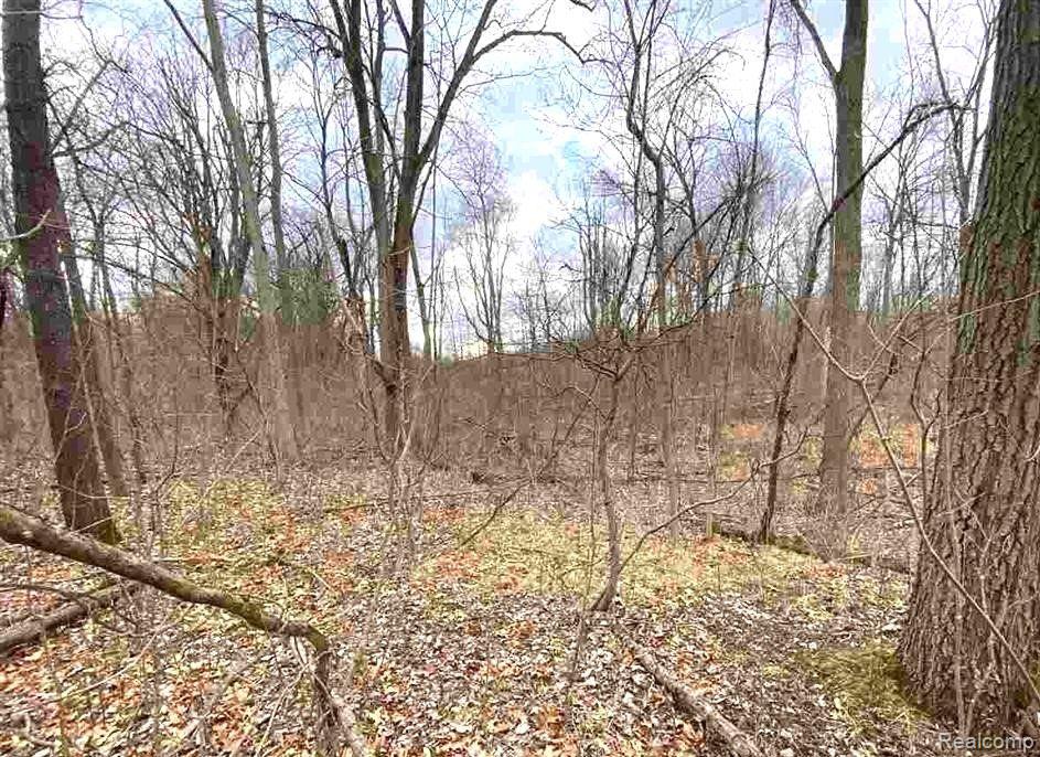 1771 East Predmore Road Oakland, MI 48363 - Photo 1 of 17 Gallery Image 1