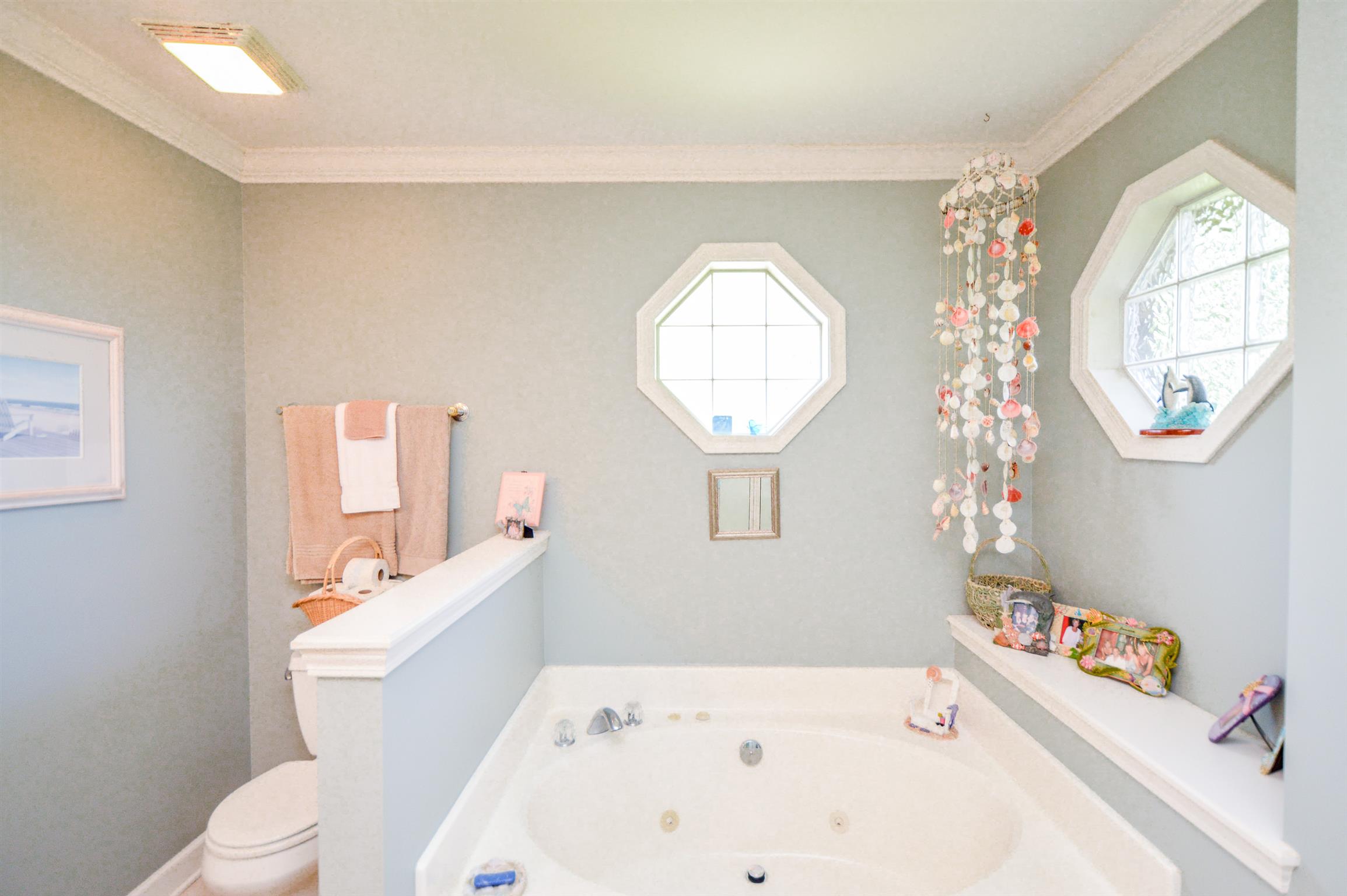 446 Rock Springs Road Castalian Springs, TN 37031 - Photo 21 of 25 Gallery Image 21