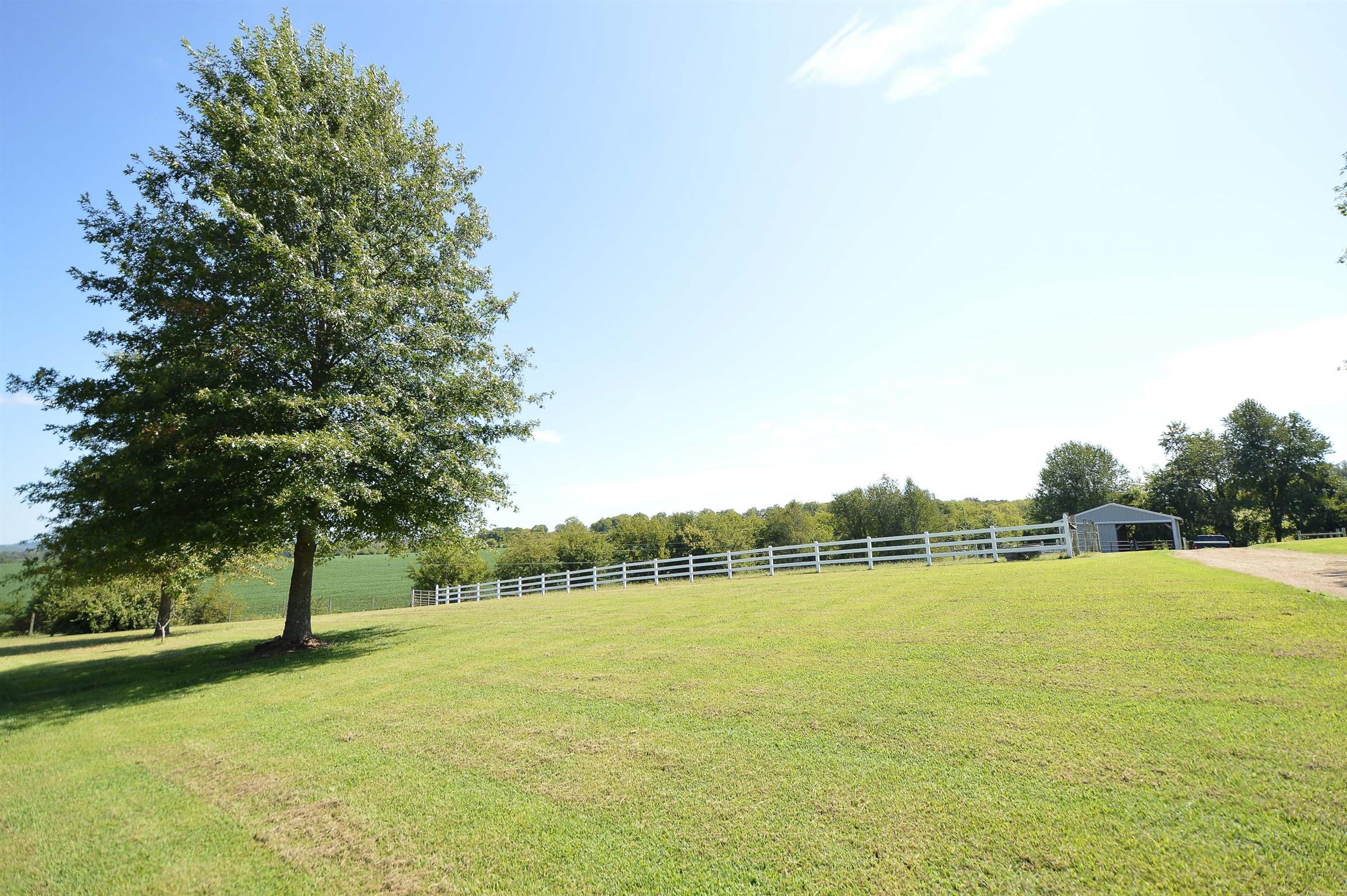 446 Rock Springs Road Castalian Springs, TN 37031 - Photo 6 of 25 Gallery Image 6