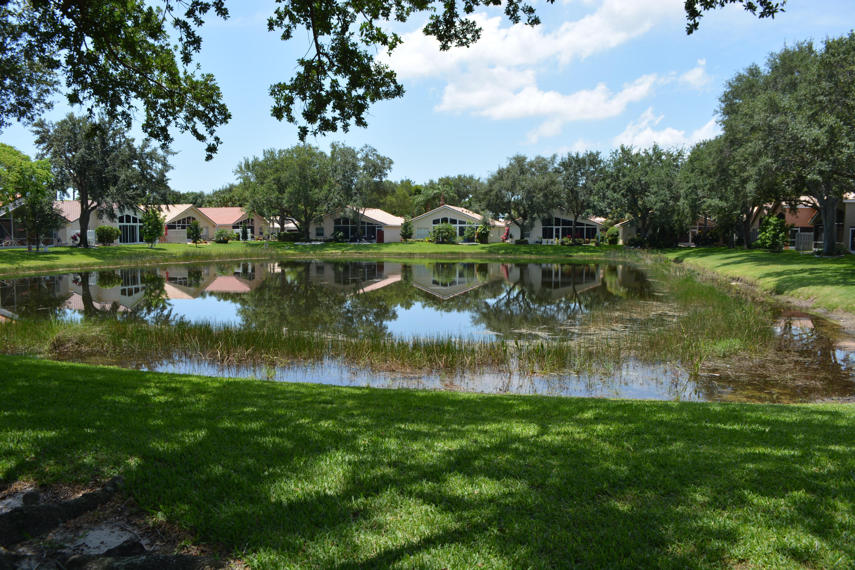 7316 Modena Drive Boynton Beach, FL 33437 - Photo 11 of 24 a view of a lake with a yard and large trees