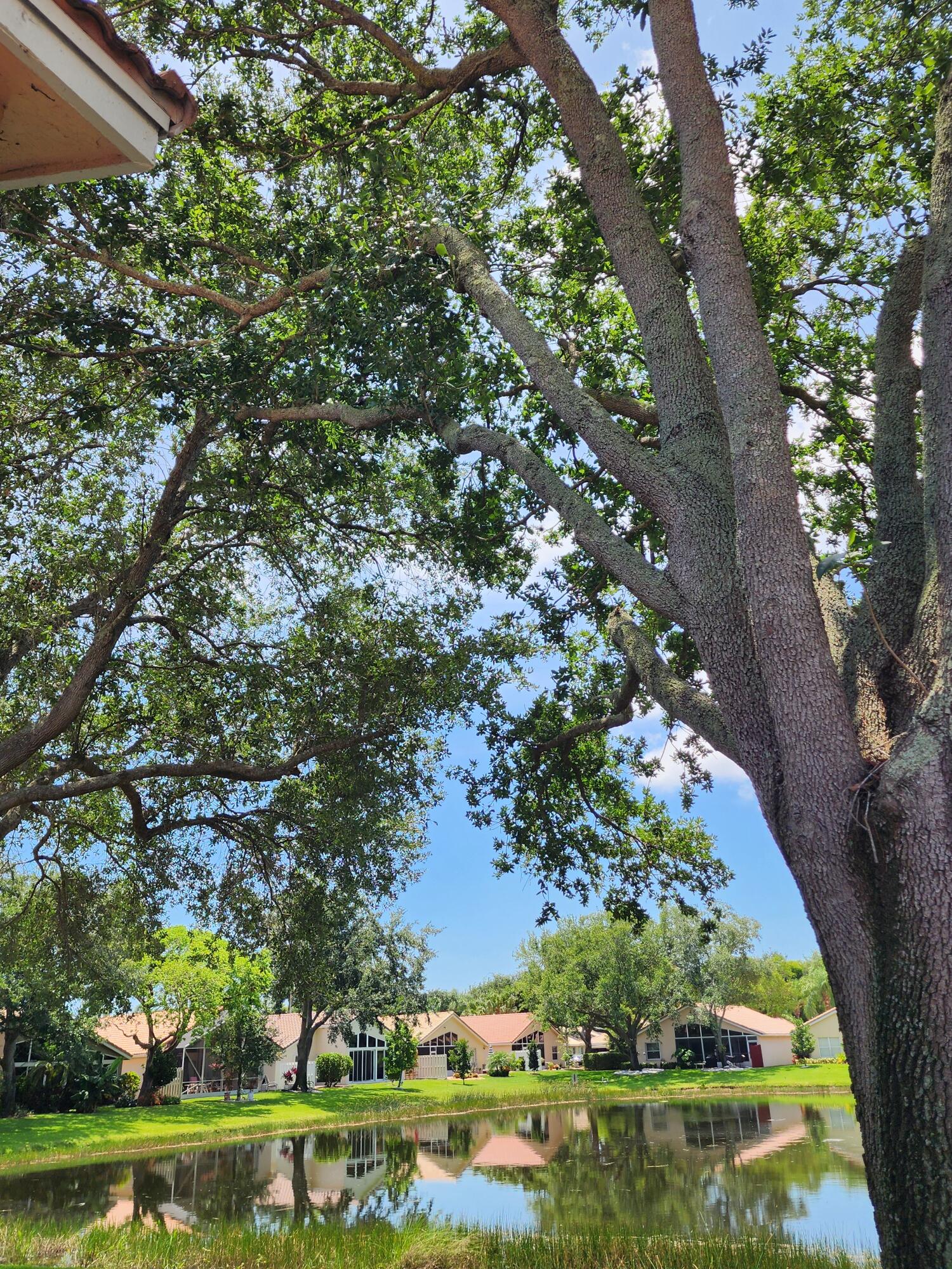 7316 Modena Drive Boynton Beach, FL 33437 - Photo 10 of 24 an aerial view of a green space