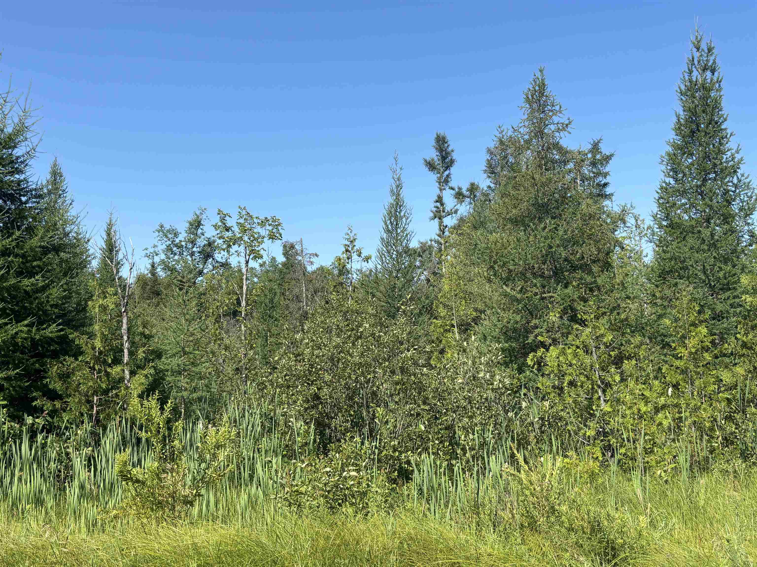 628 Badgley Road Vanderbilt, MI 49795 - Photo 32 of 36 1948988-e21f9895-2ea8-4b66-abcb-d39266db51ce.JPG