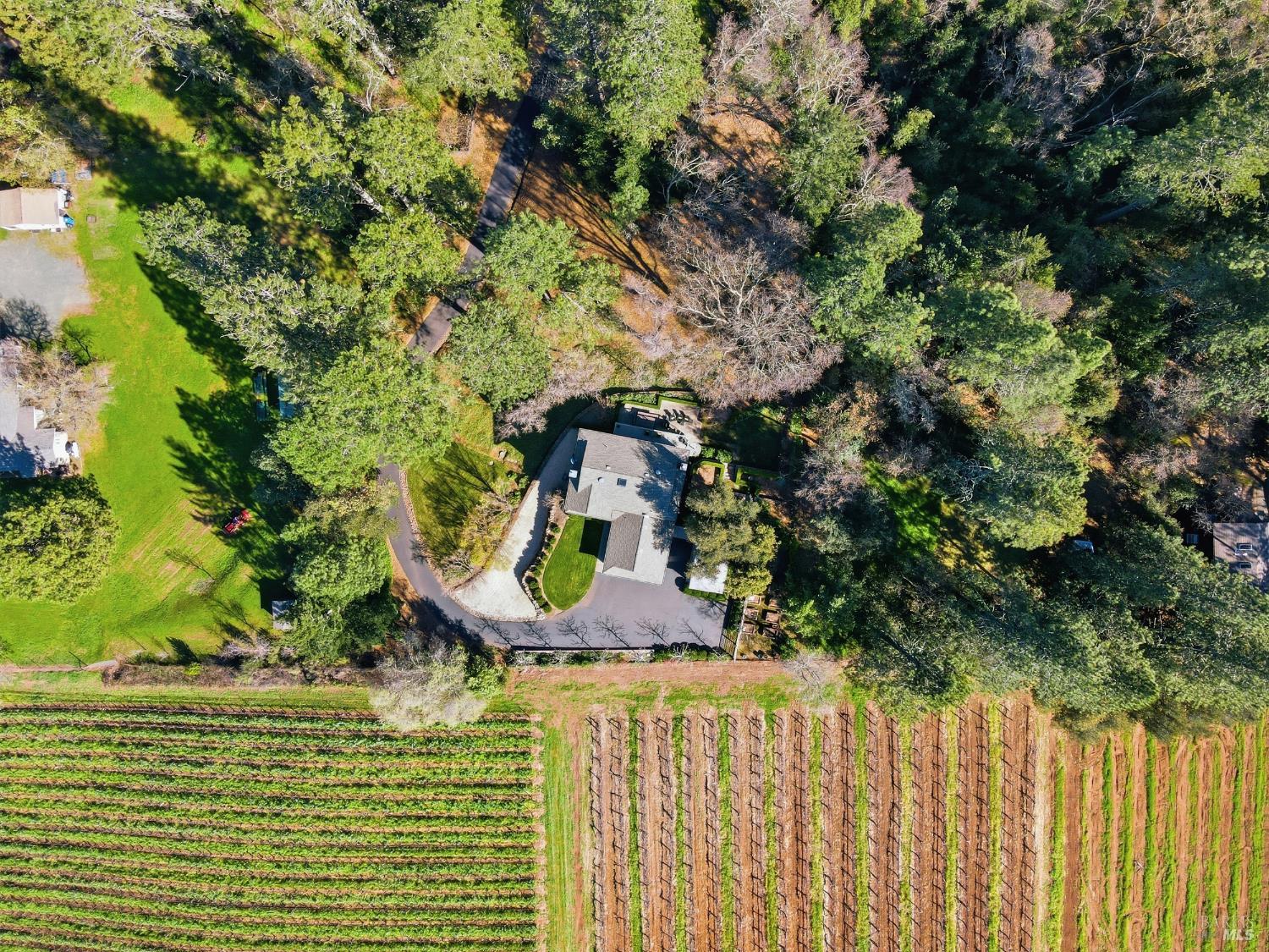 125 White Cottage Road North Angwin, CA 94508 - Photo 41 of 42 a view of swimming pool from a balcony