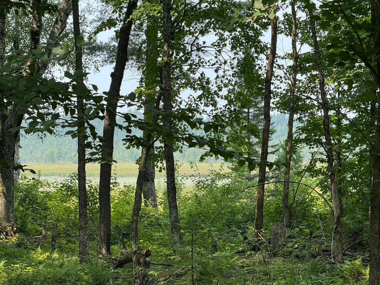 6293 Bambiland Road Mercer, WI 54547 - Photo 27 of 38 Gallery Image 27