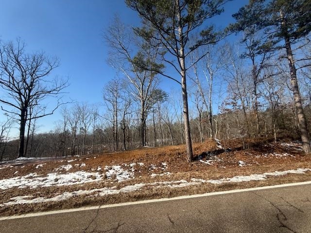 1 State Route 225 Road Henderson, TN 38340 - Photo 11 of 18 View of yard