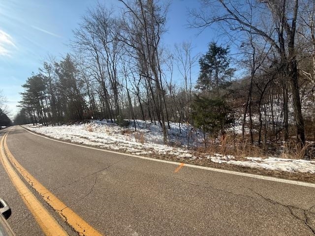 1 State Route 225 Road Henderson, TN 38340 - Photo 17 of 18 View of road