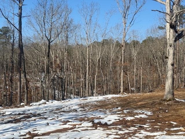 1 State Route 225 Road Henderson, TN 38340 - Photo 4 of 18 View of snowy landscape