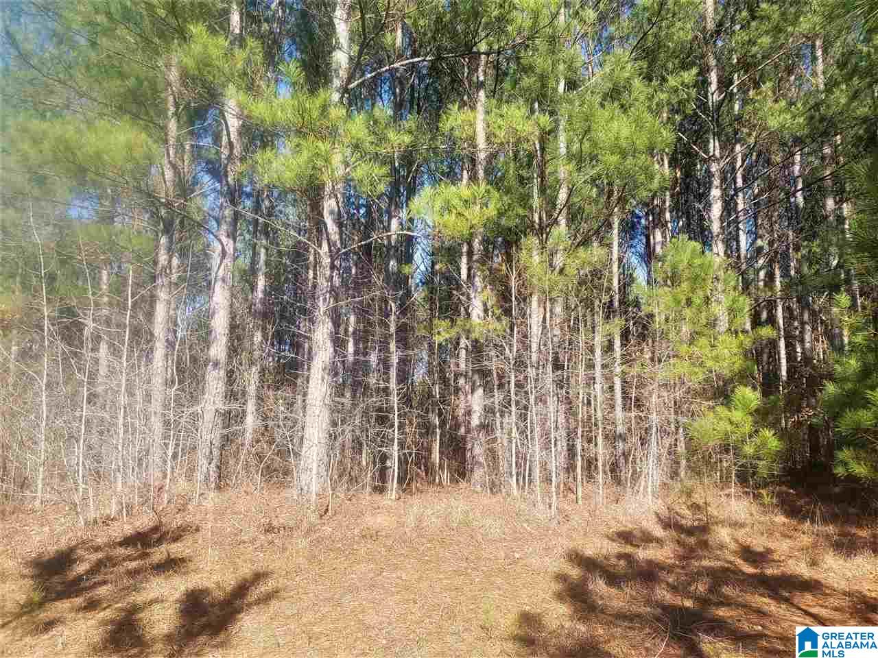 Redman Hall Road, Unit 2 Pinson, AL 35126 - Photo 6 of 12