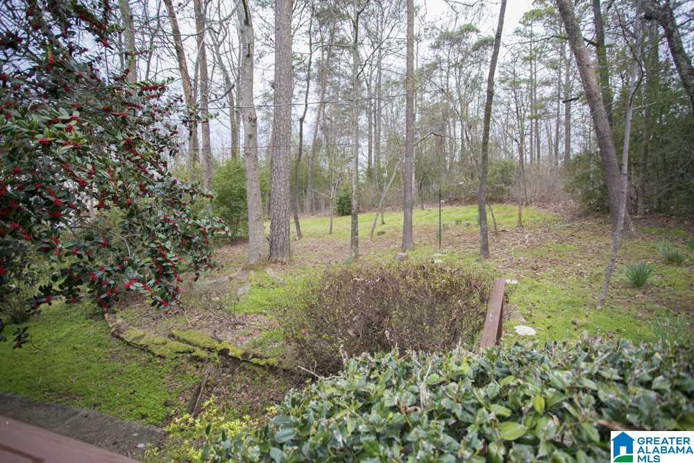 3566 Mill Springs Road Birmingham, AL 35223 - Photo 42 of 47