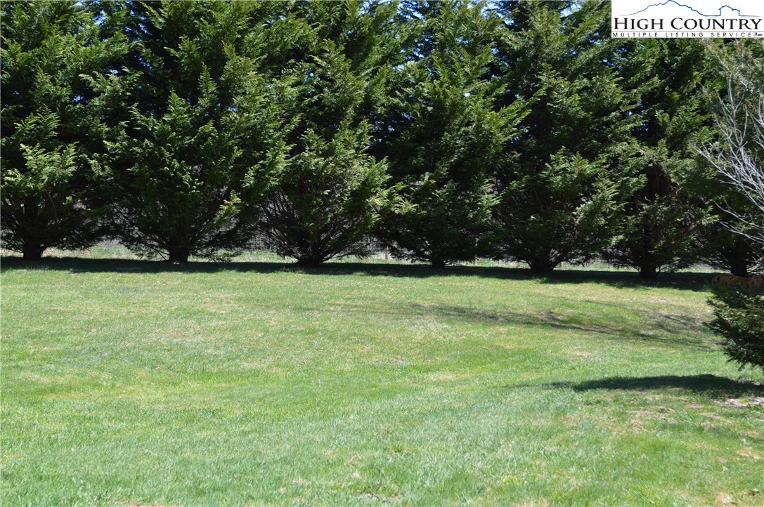 352 Woodruff Road Glade Valley, NC 28627 - Photo 28 of 30 Gallery Image 28