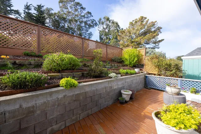 a view of outdoor space yard and patio