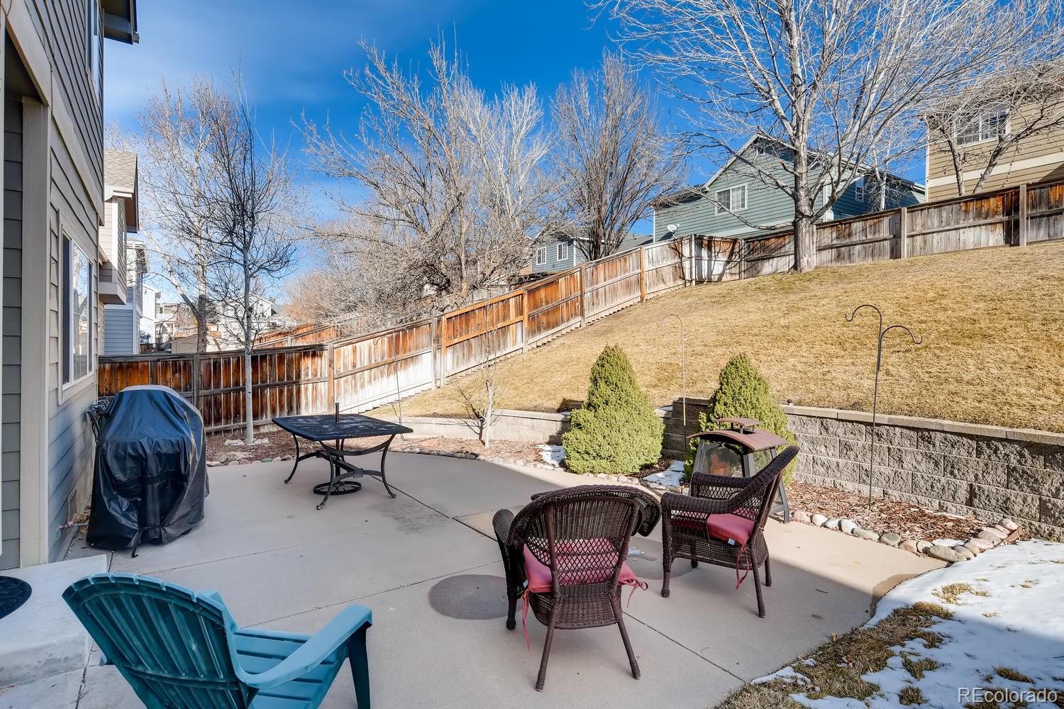 9640 South Sun Meadow Street Highlands Ranch, CO 80129 - Photo 26 of 33
