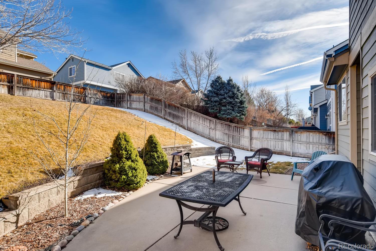 9640 South Sun Meadow Street Highlands Ranch, CO 80129 - Photo 27 of 33