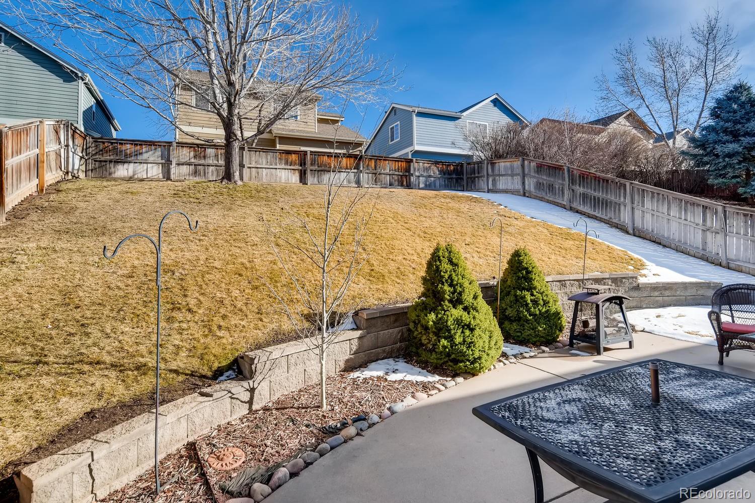 9640 South Sun Meadow Street Highlands Ranch, CO 80129 - Photo 28 of 33