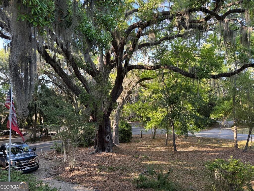 225 West Point Drive St. Simons Island, GA 31522 - Photo 46 of 48