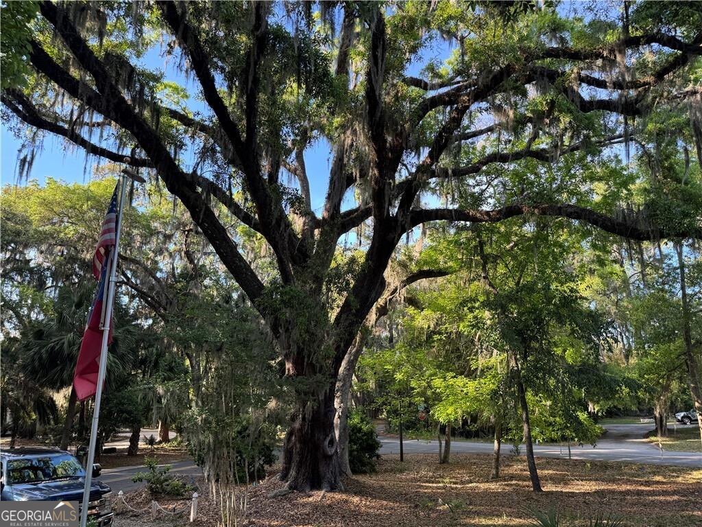 225 West Point Drive St. Simons Island, GA 31522 - Photo 47 of 48
