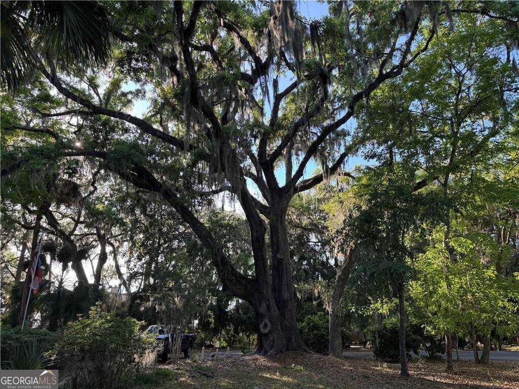 225 West Point Drive St. Simons Island, GA 31522 - Photo 48 of 48