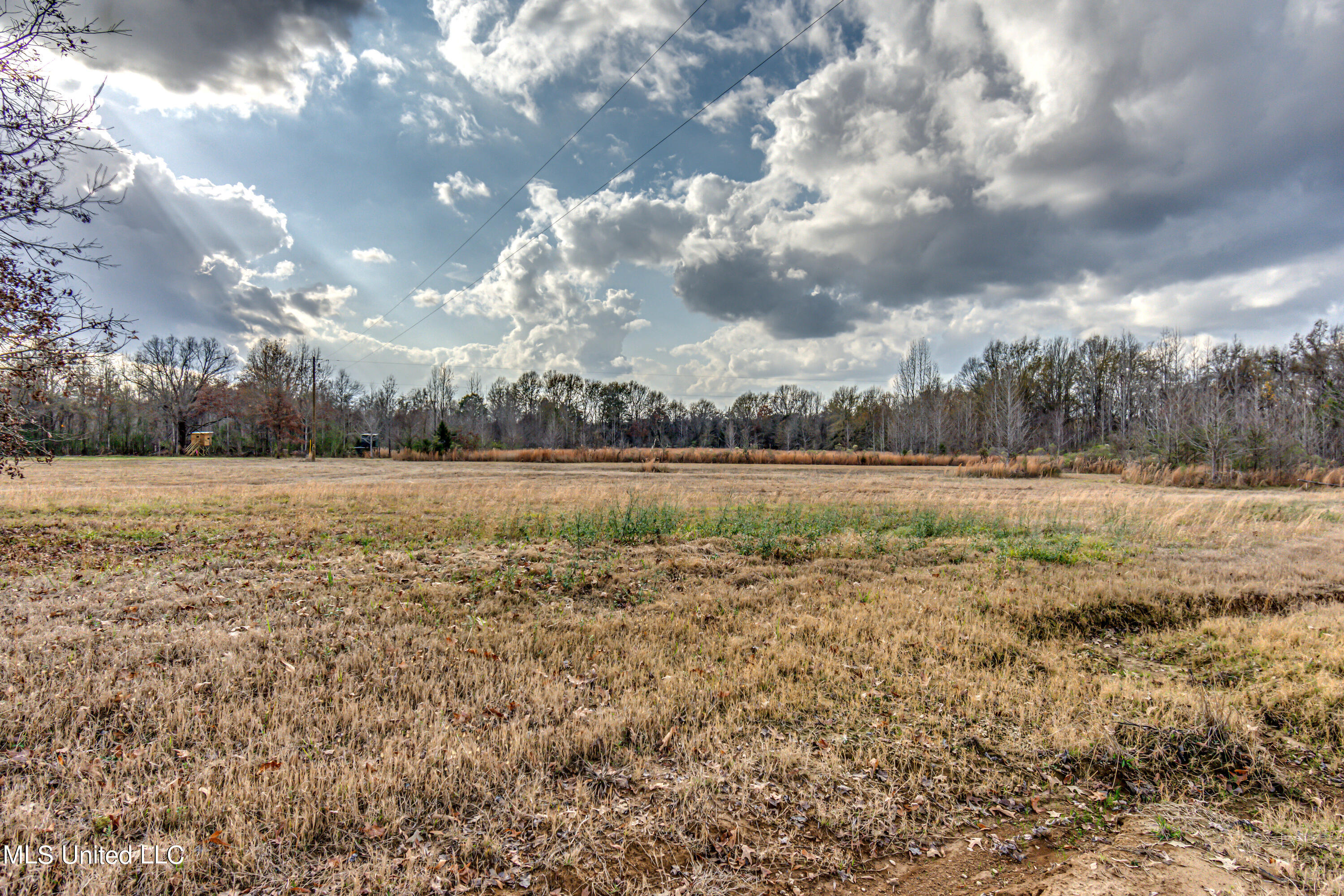 249 Brown Road West Canton, MS 39046 - Photo 43 of 67 4FF02DA7-F45F-4217-85A8-FC4481BEDF3B