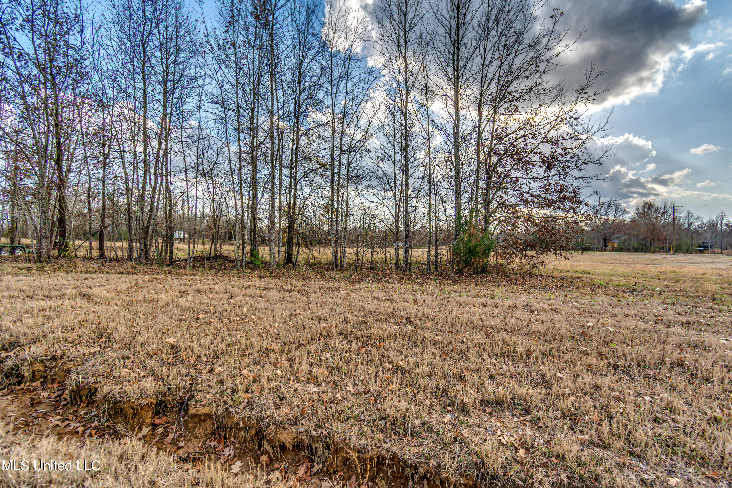 249 Brown Road West Canton, MS 39046 - Photo 45 of 67 04A88B03-A79A-4855-AC35-15D907489252