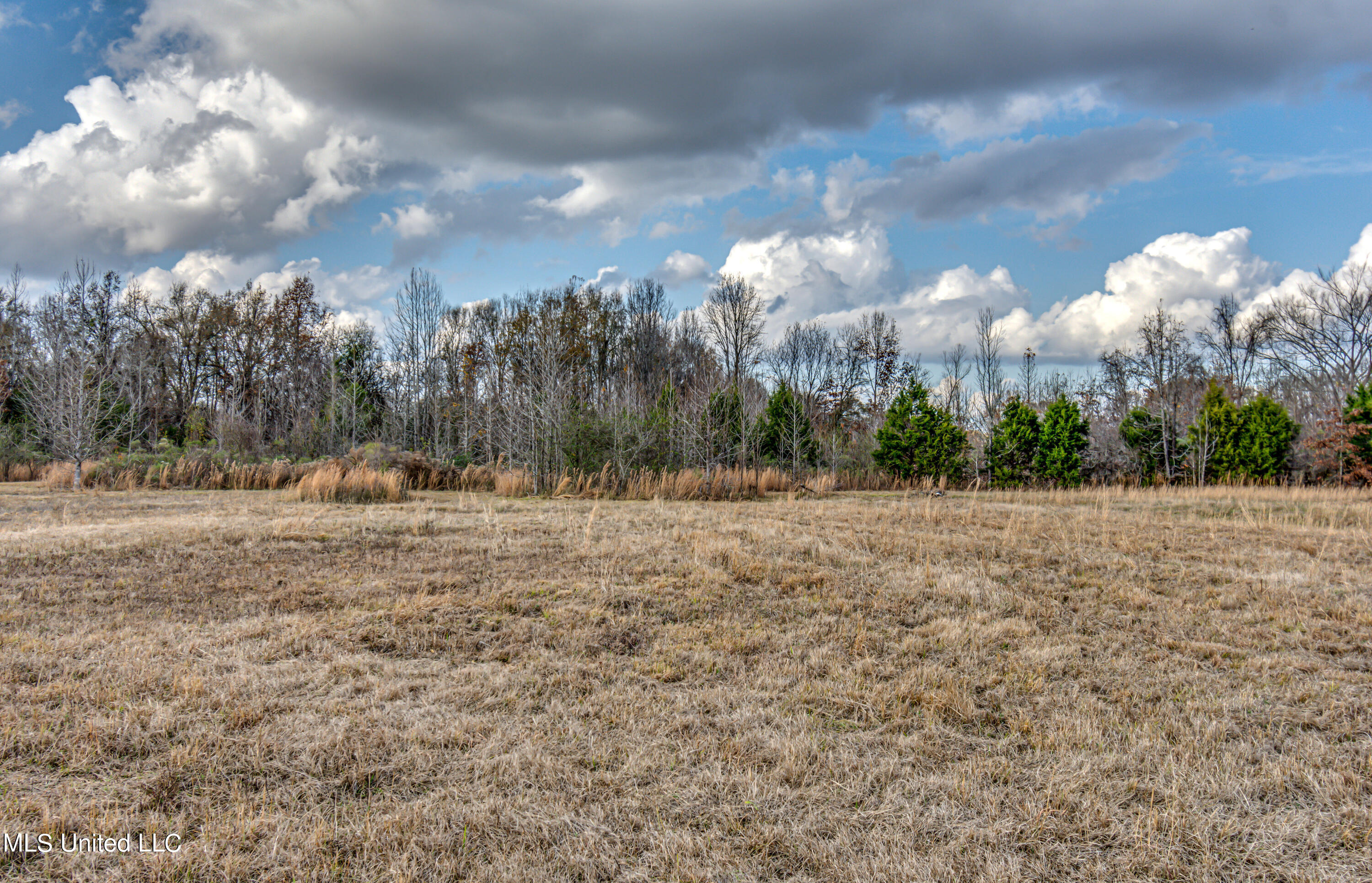 249 Brown Road West Canton, MS 39046 - Photo 46 of 67 A413BA43-9C7F-42FE-8867-219A84B8BDA2