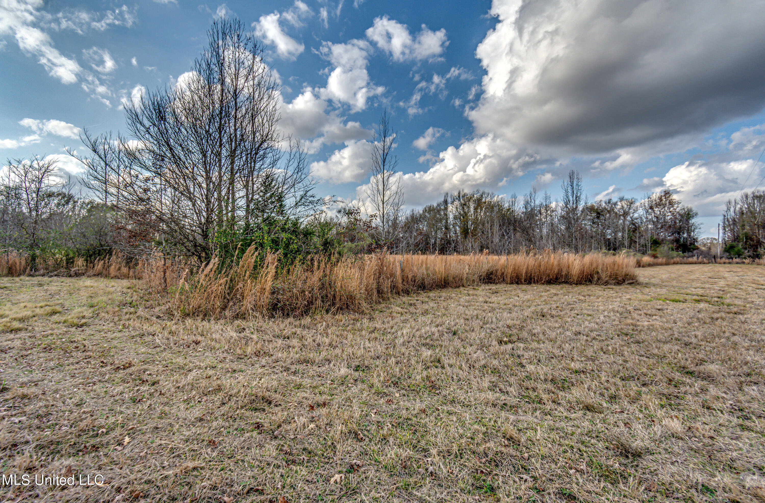 249 Brown Road West Canton, MS 39046 - Photo 47 of 67 CC50D49E-7F79-4FBD-AC6C-ED60D621467B