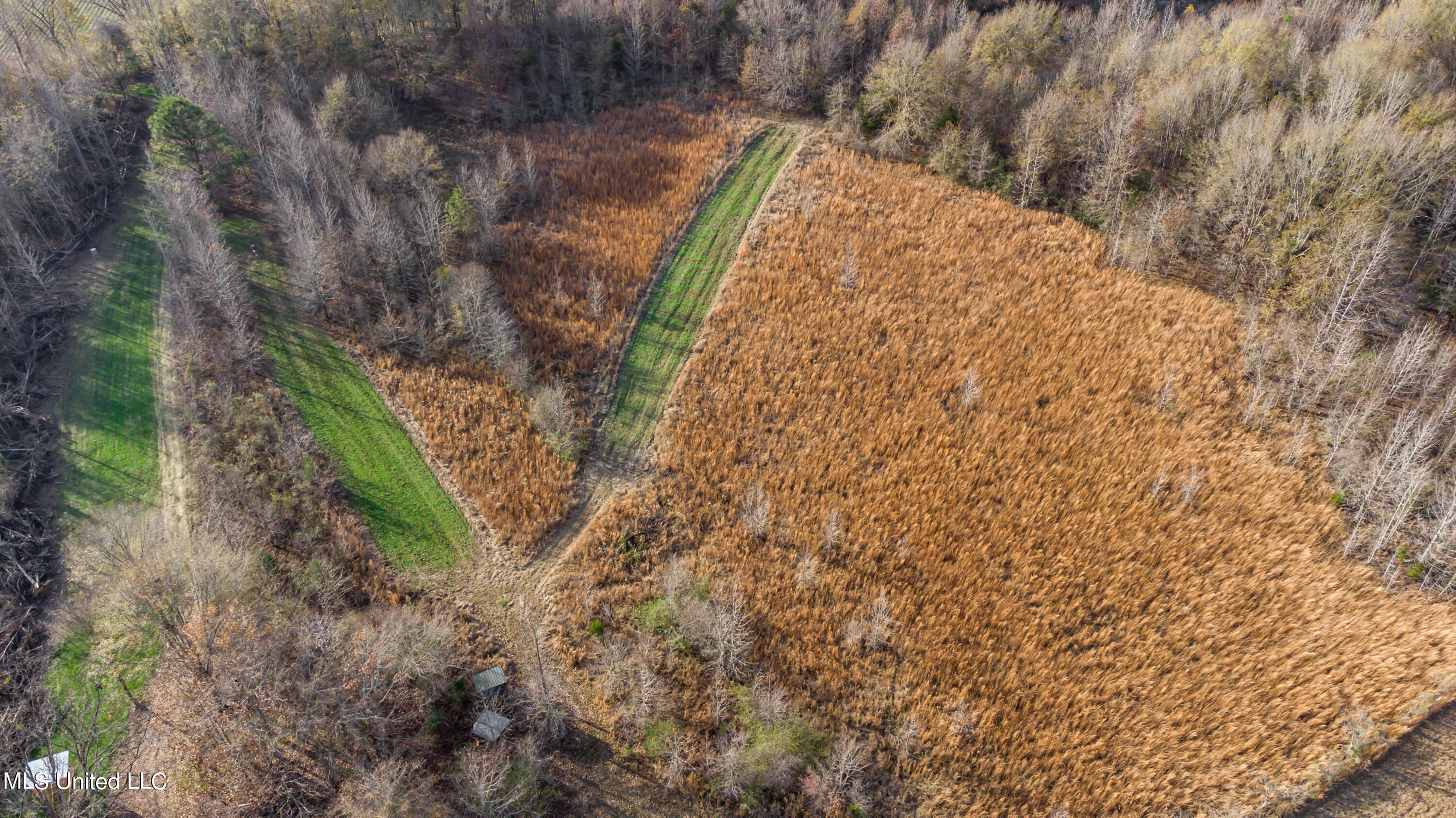 249 Brown Road West Canton, MS 39046 - Photo 49 of 67 4E0E7912-038E-40B0-9C03-0286752C8E25