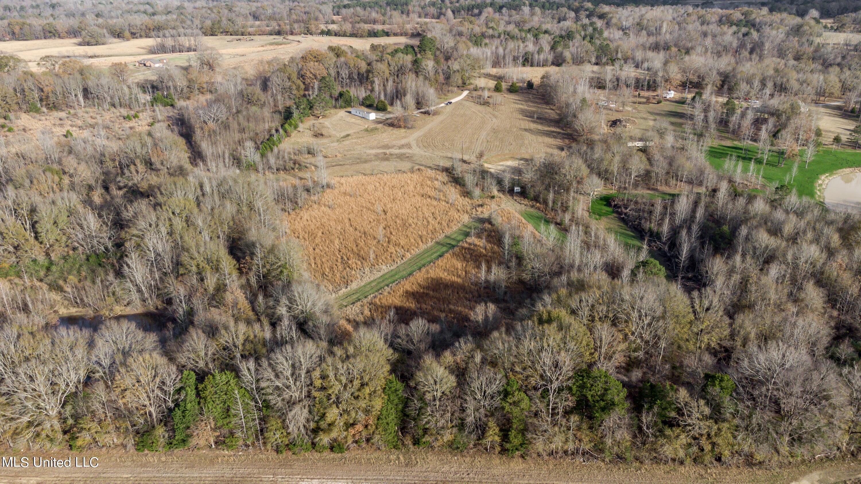 249 Brown Road West Canton, MS 39046 - Photo 50 of 67 F598FDCB-FCB4-4E91-A95B-3B90FB058F00_1_2