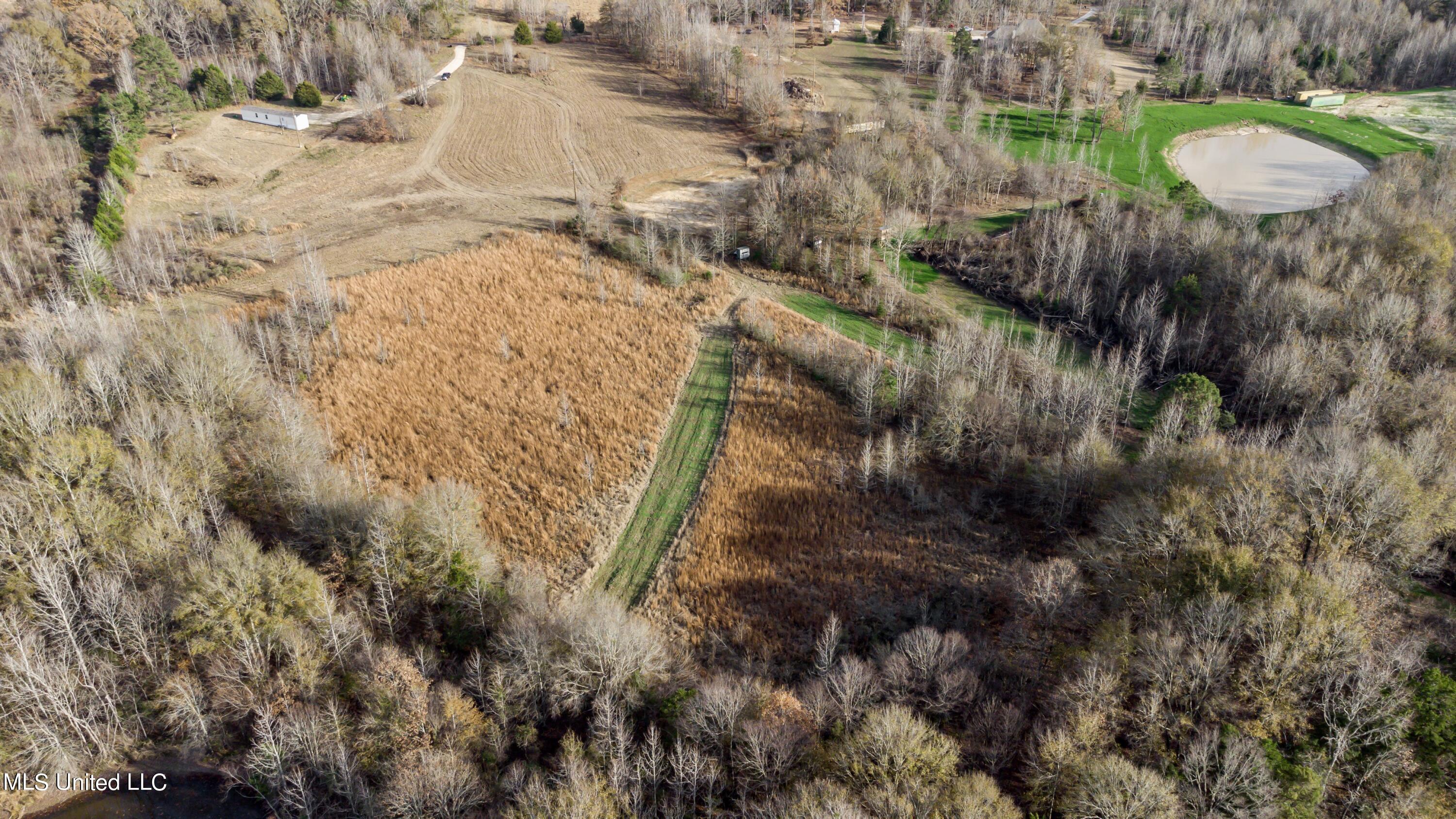 249 Brown Road West Canton, MS 39046 - Photo 51 of 67 A917A9BD-0894-4E8C-ACBD-6A9BE870D545_1_2