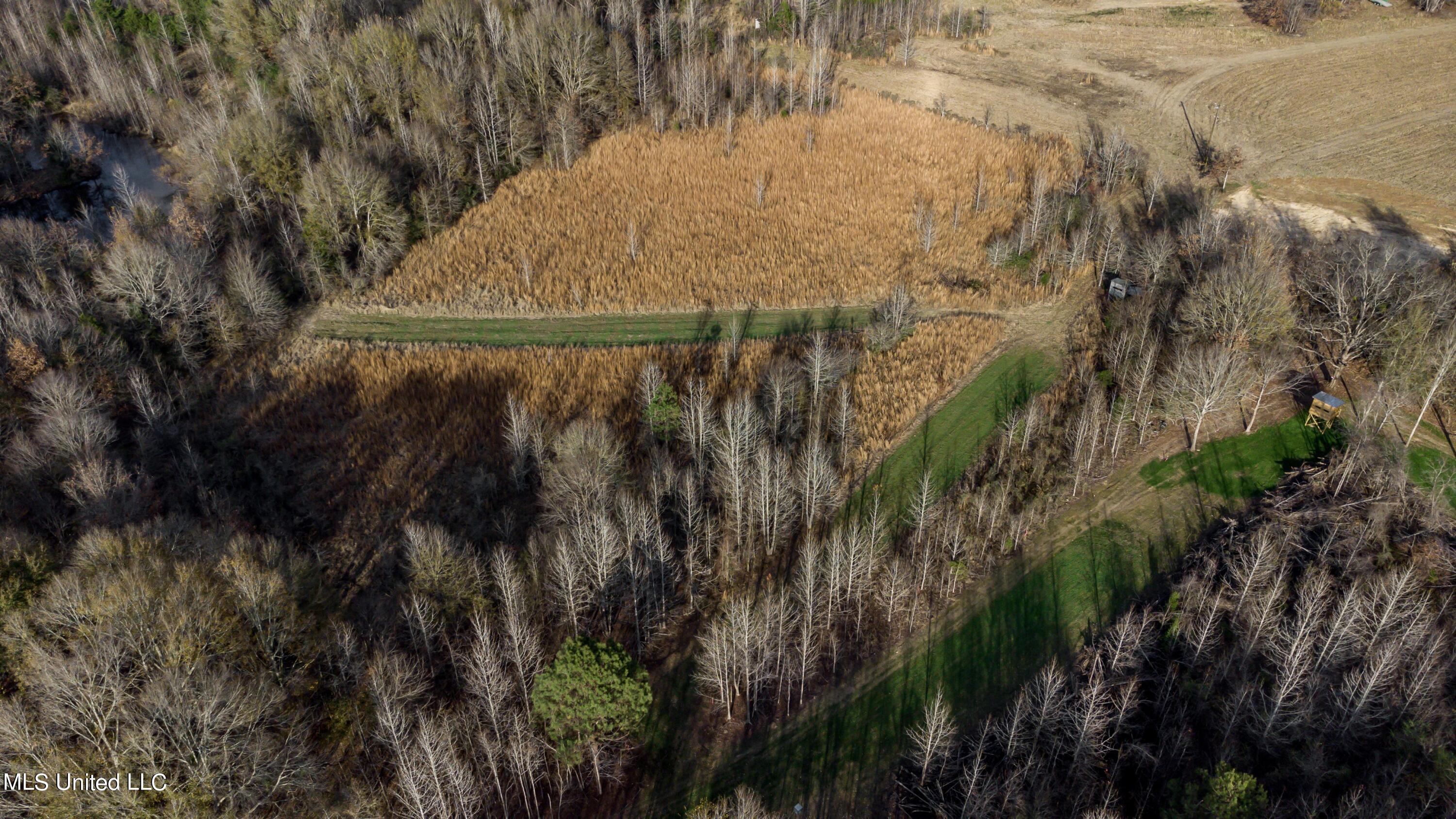 249 Brown Road West Canton, MS 39046 - Photo 52 of 67 967F06A7-AE2F-4BD8-A921-350C0AC5DF04_1_2