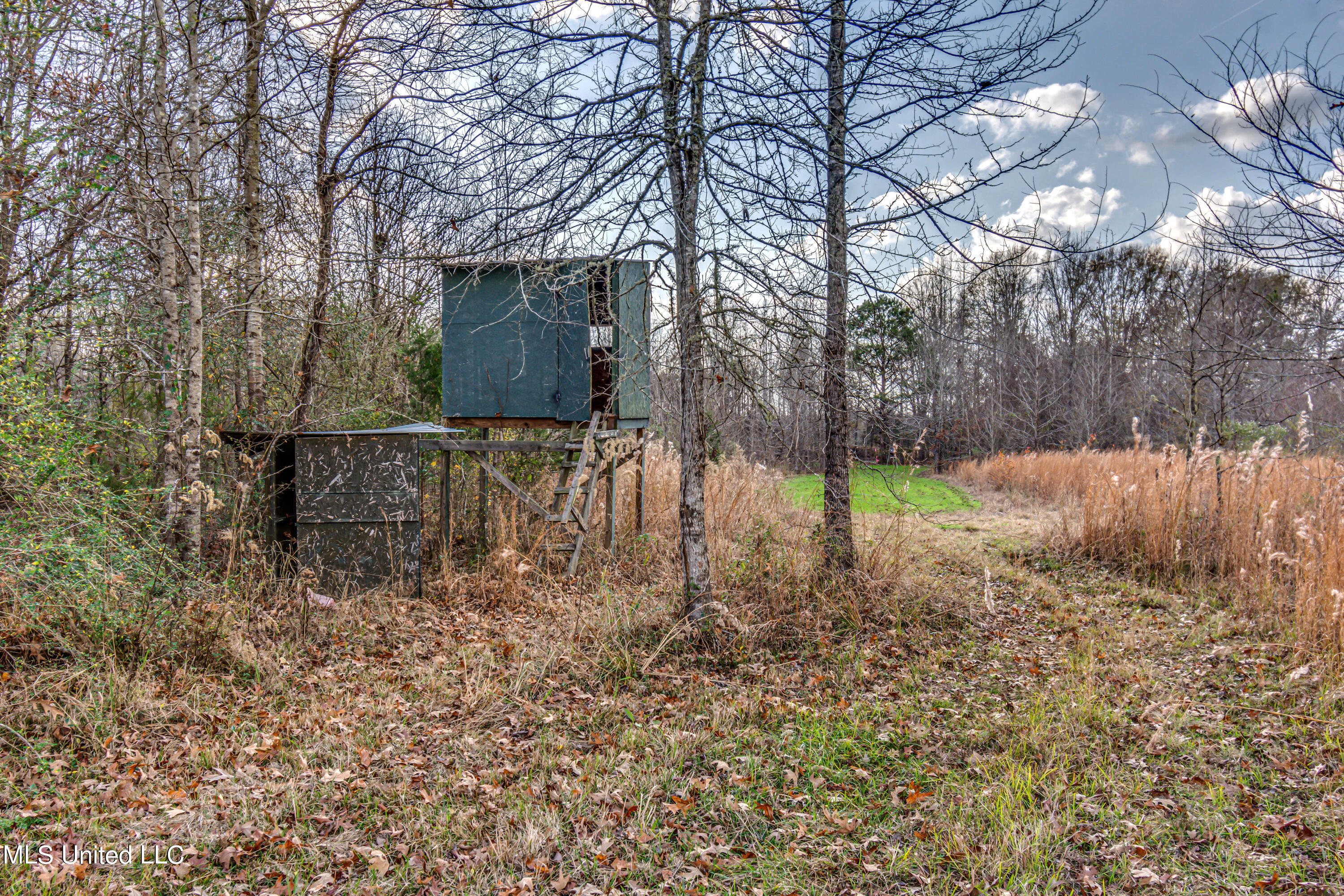 249 Brown Road West Canton, MS 39046 - Photo 62 of 67 CF8E9F6D-9C86-44A9-B2F6-7E672069DC19
