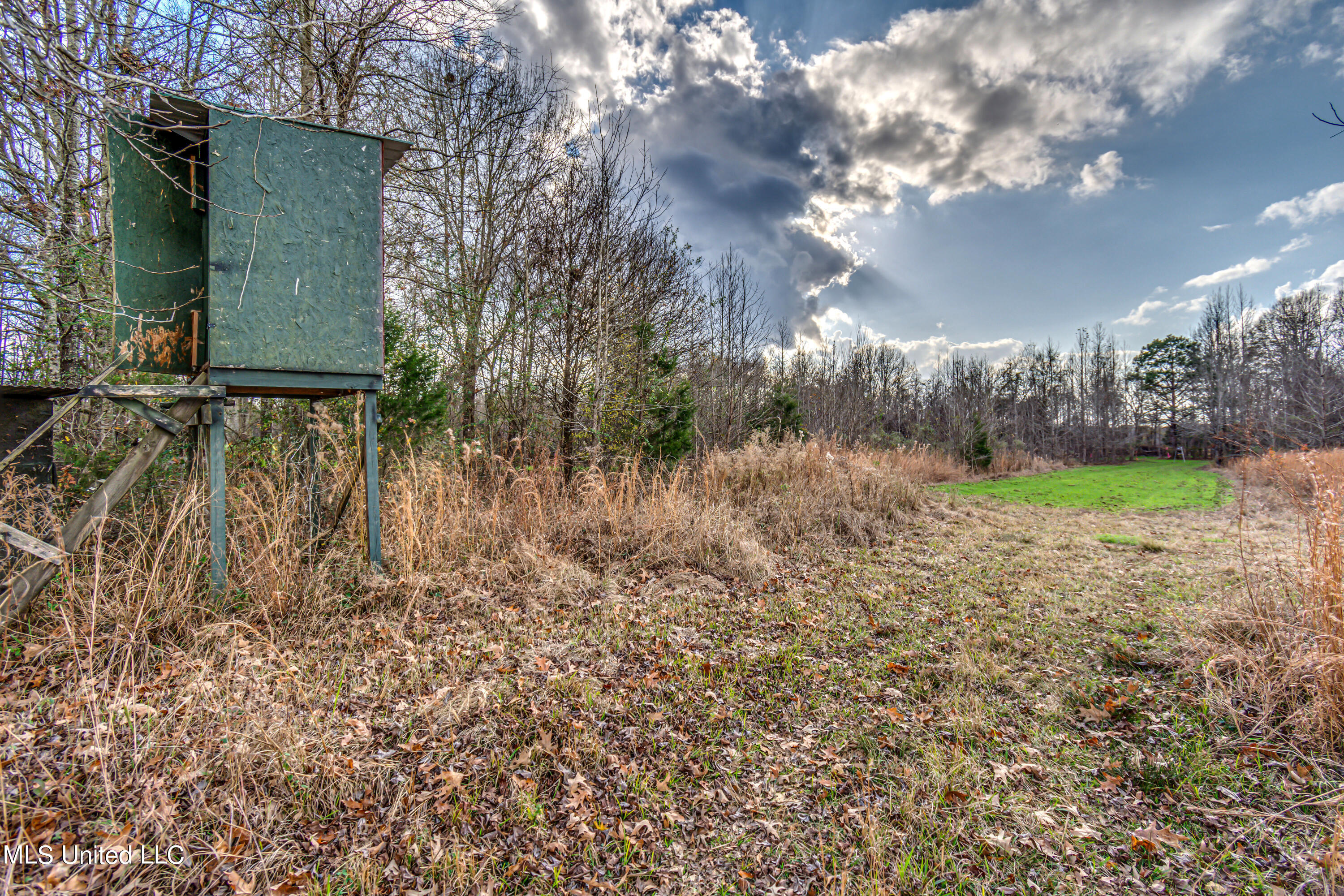 249 Brown Road West Canton, MS 39046 - Photo 63 of 67 C235BB17-C027-4E3D-89FA-D52CF8733694