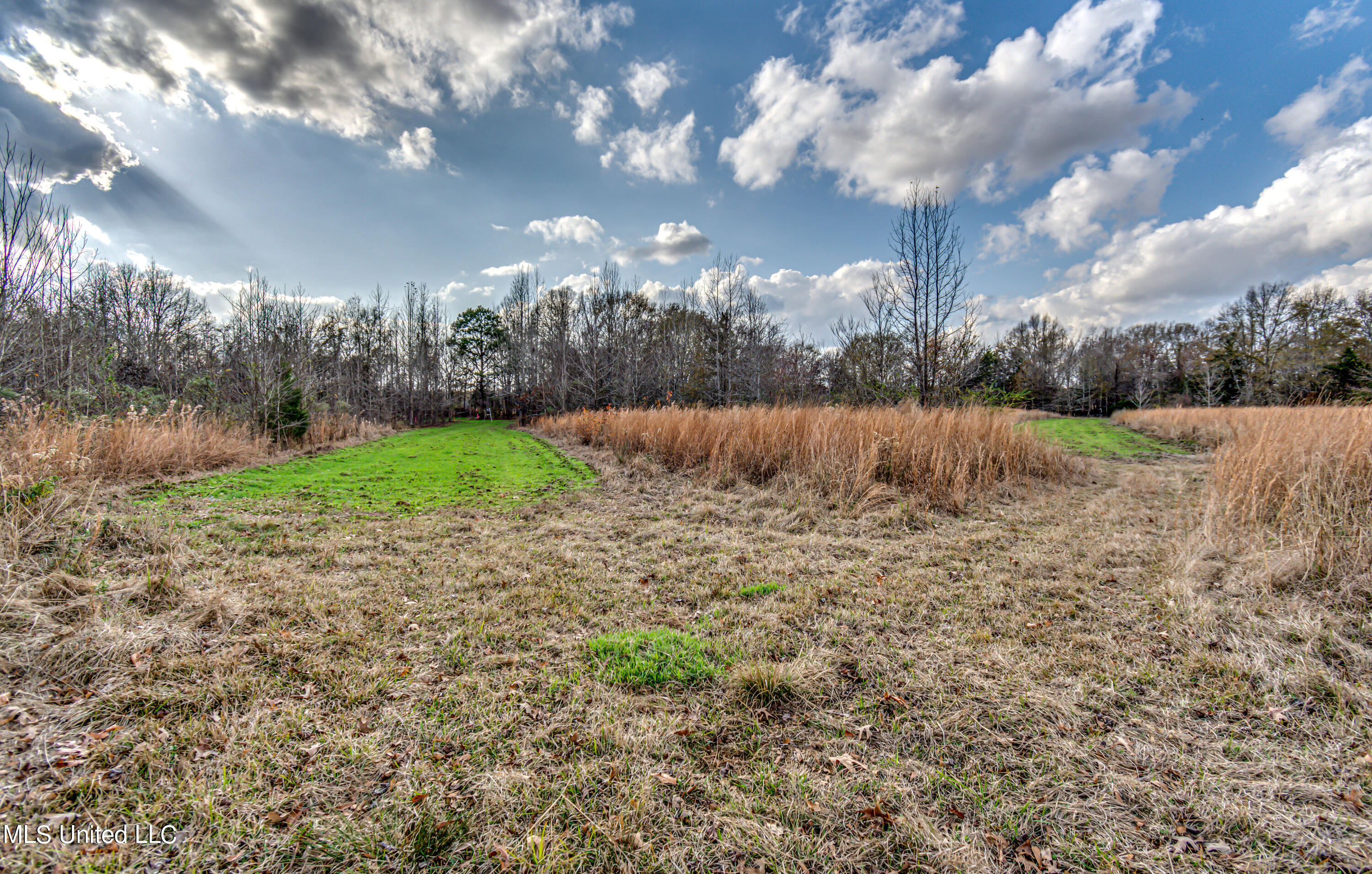 249 Brown Road West Canton, MS 39046 - Photo 64 of 67 EDB26F6E-C3AA-4469-92CF-E384BEB6CBFC