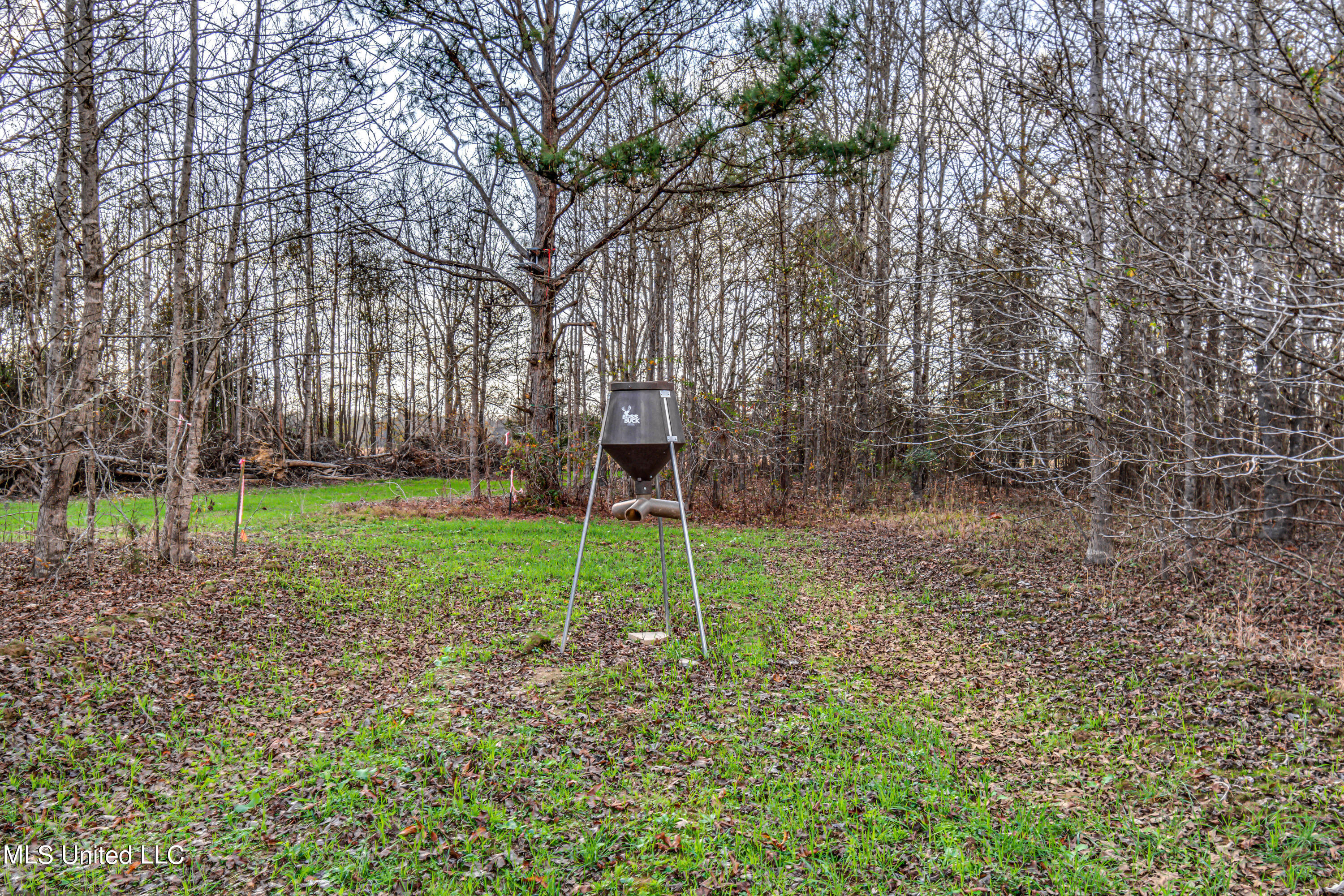 249 Brown Road West Canton, MS 39046 - Photo 65 of 67 00D02F52-AF5E-462E-8656-238AB0753314