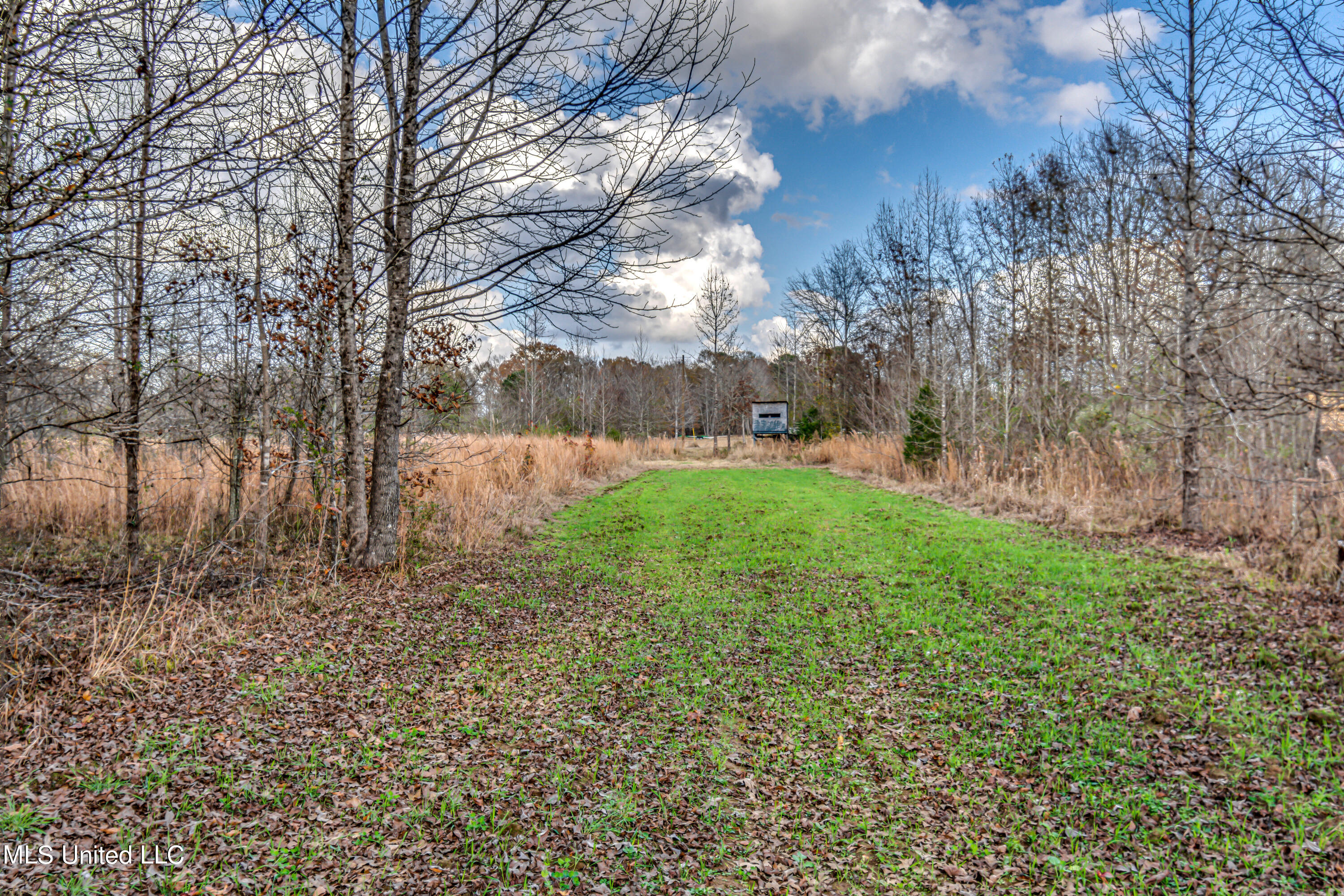 249 Brown Road West Canton, MS 39046 - Photo 66 of 67 46DAF762-6BA3-4FA3-BC40-81379E0F8939