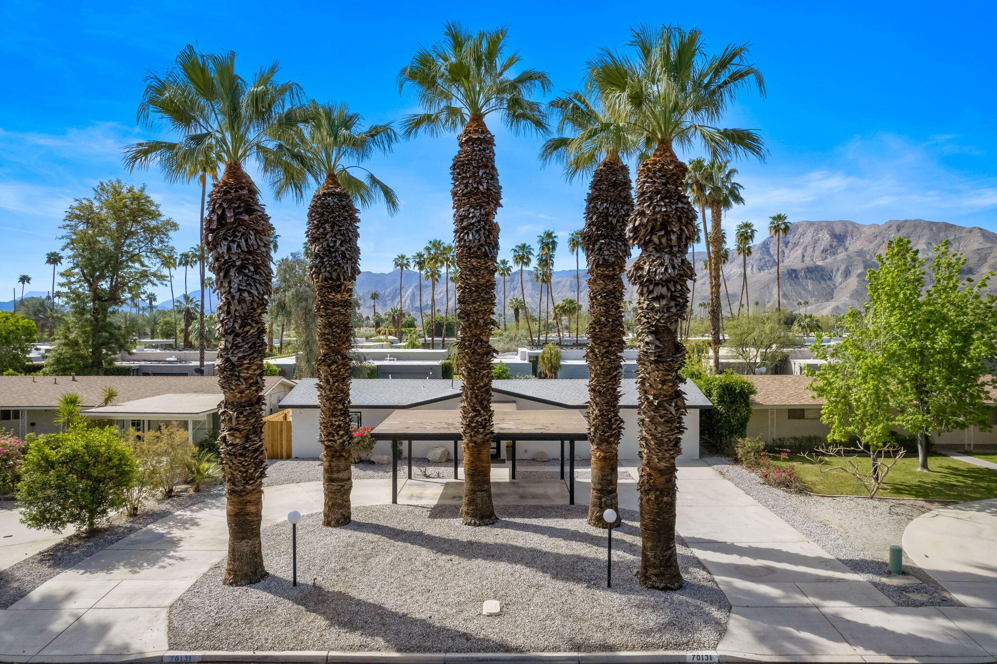 70131 Chappel Road Rancho Mirage, CA 92270 - Photo 32 of 42 a view of a park with palm trees