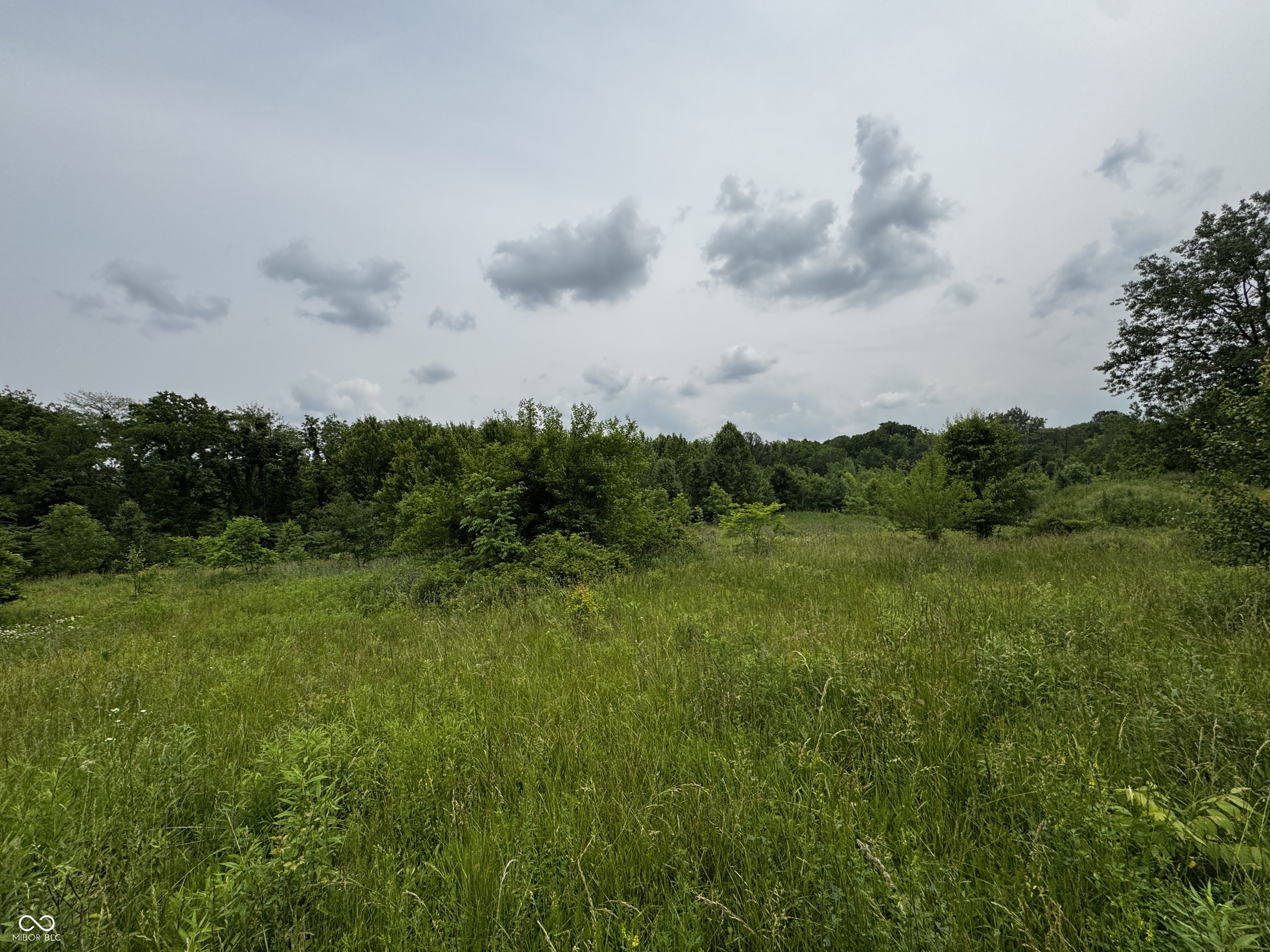 7011 East 14th Street Indianapolis, IN 46219 - Photo 2 of 6