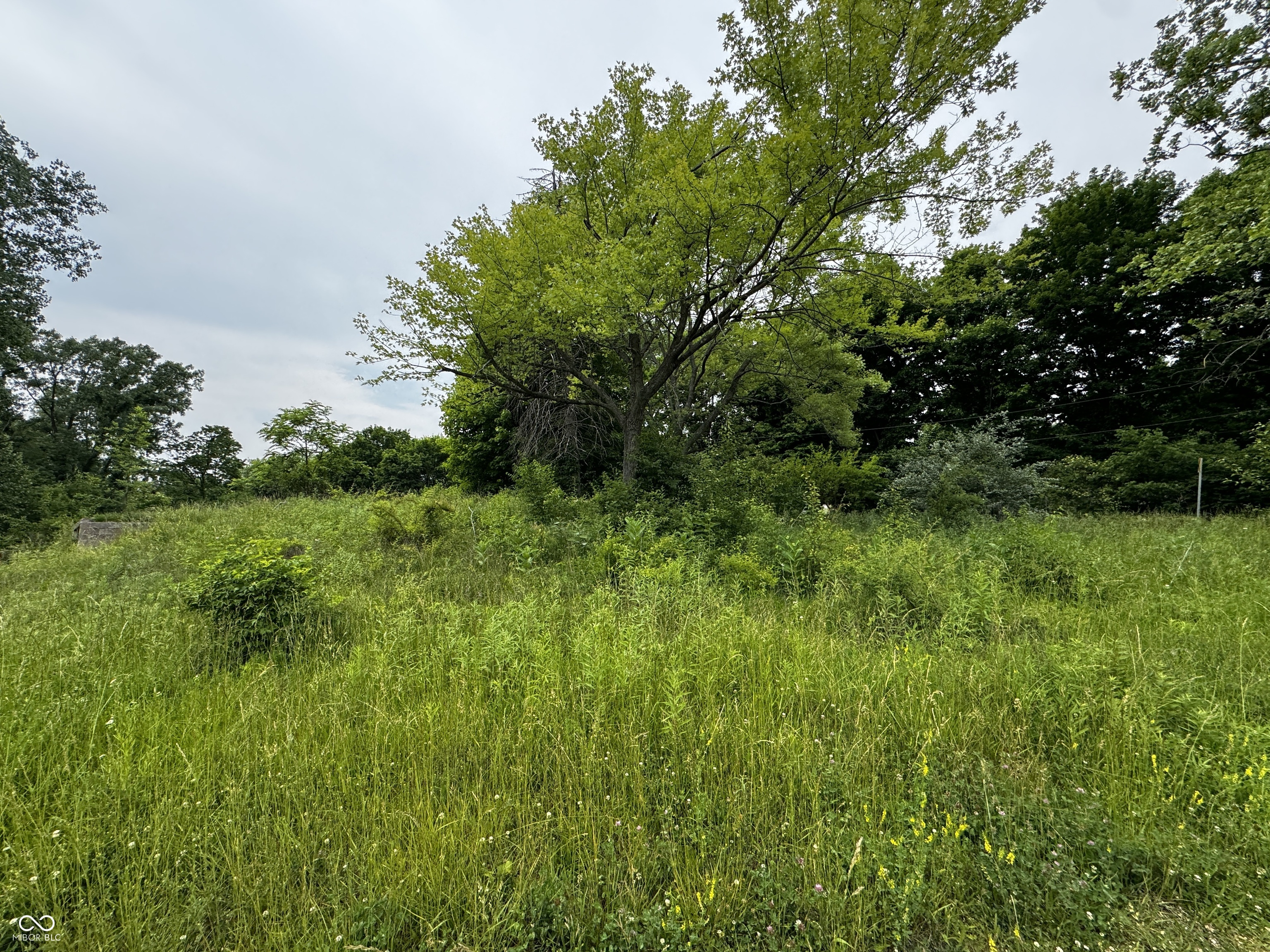 7011 East 14th Street Indianapolis, IN 46219 - Photo 3 of 6