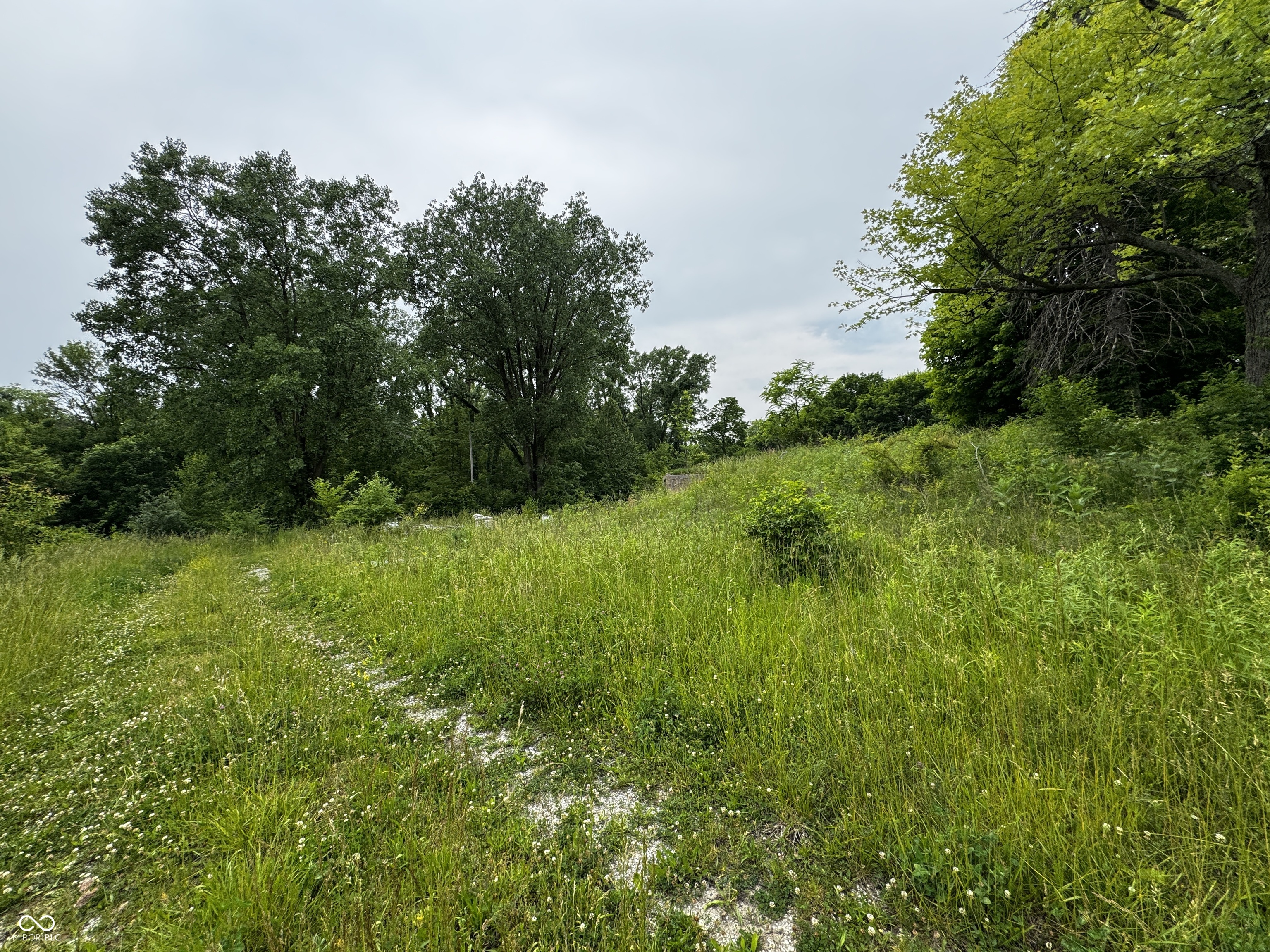 7011 East 14th Street Indianapolis, IN 46219 - Photo 4 of 6