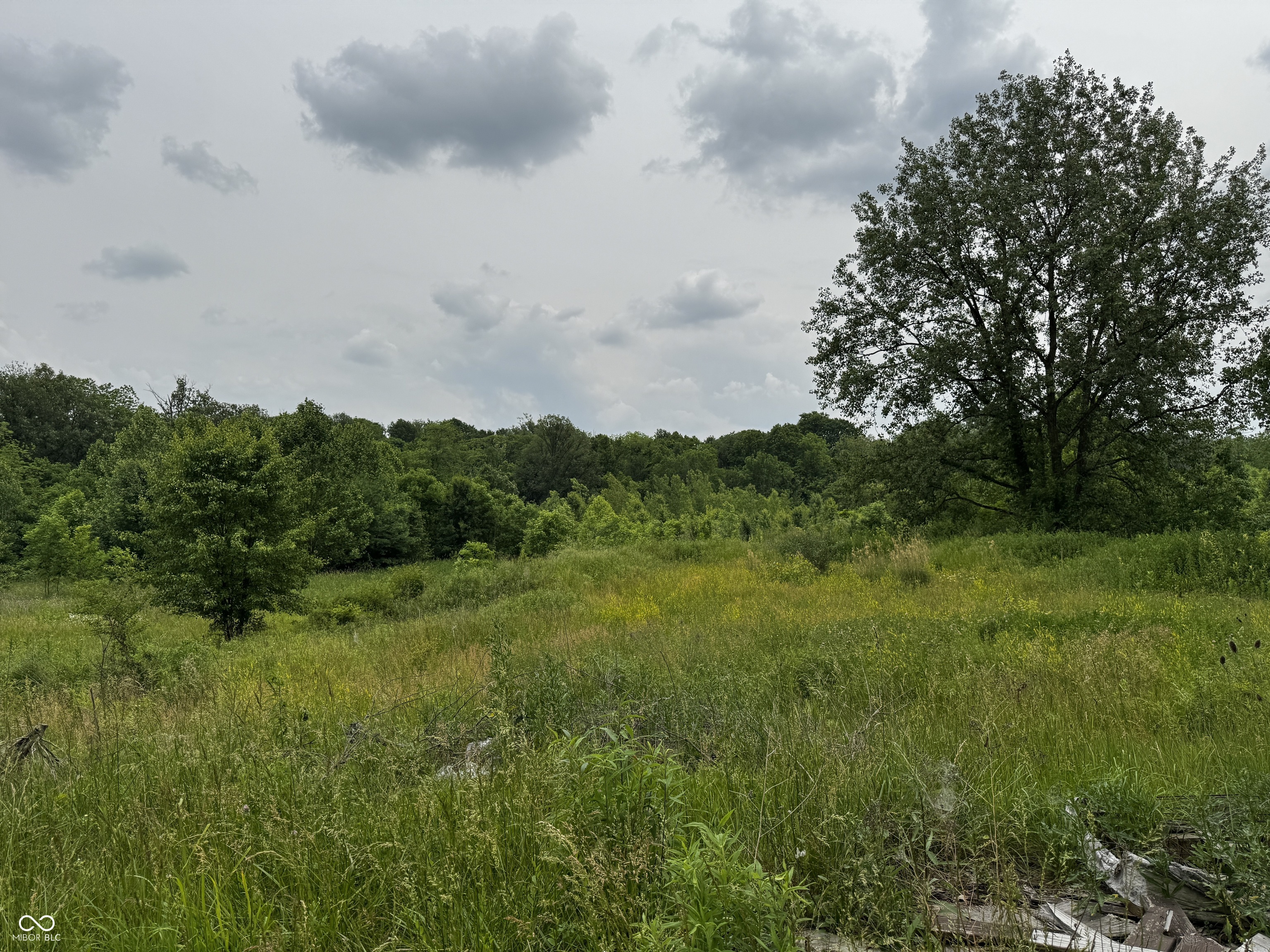 7011 East 14th Street Indianapolis, IN 46219 - Photo 6 of 6