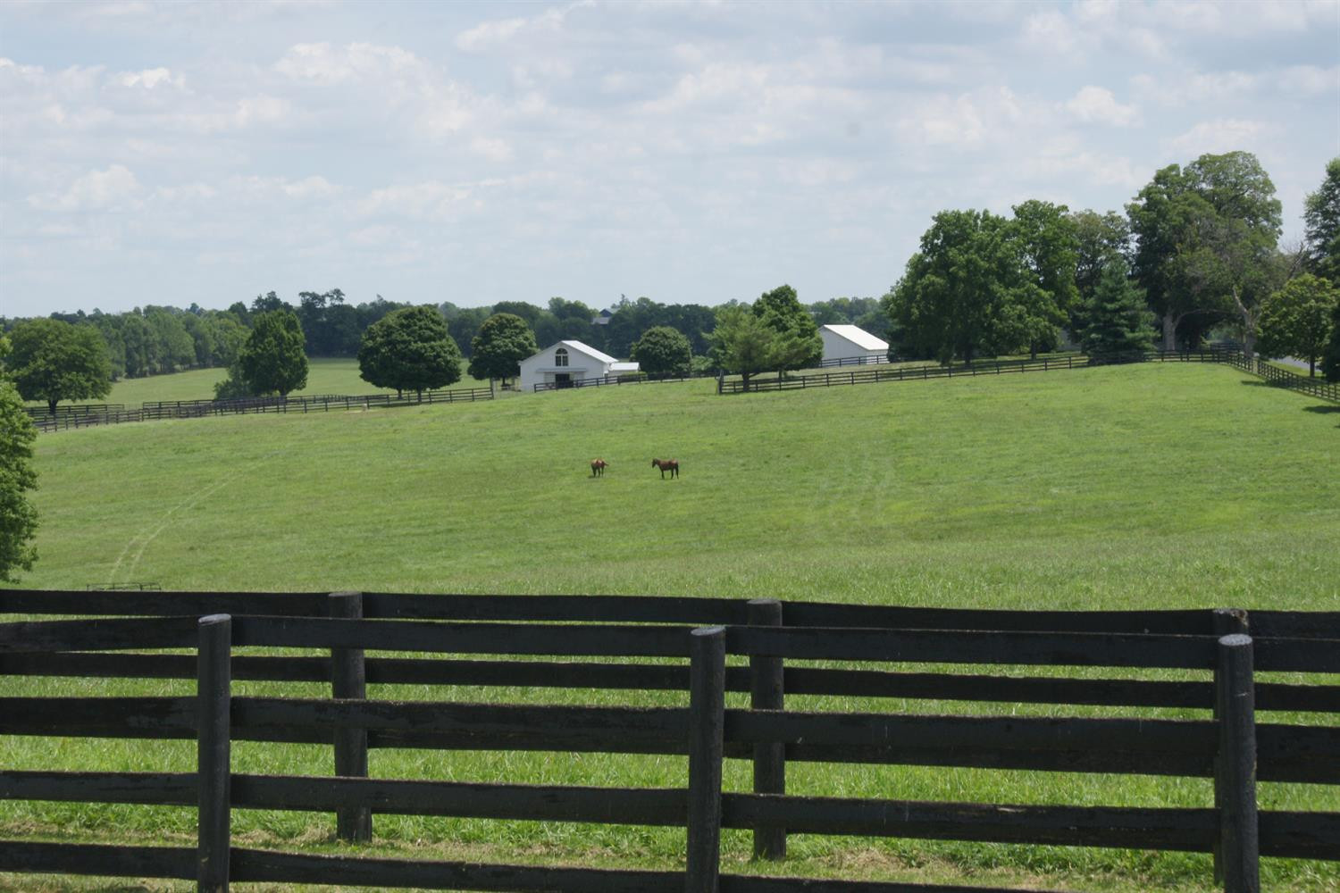 4190 McCowans Ferry Road Versailles, KY 40383 - Photo 47 of 50 Photo 47