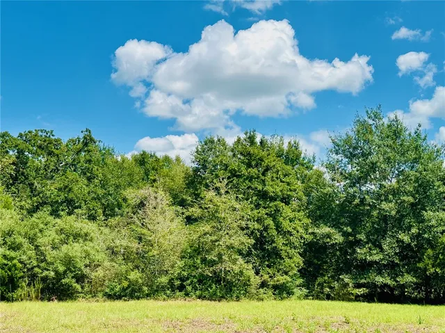 a view of a big house with a big yard and a yard