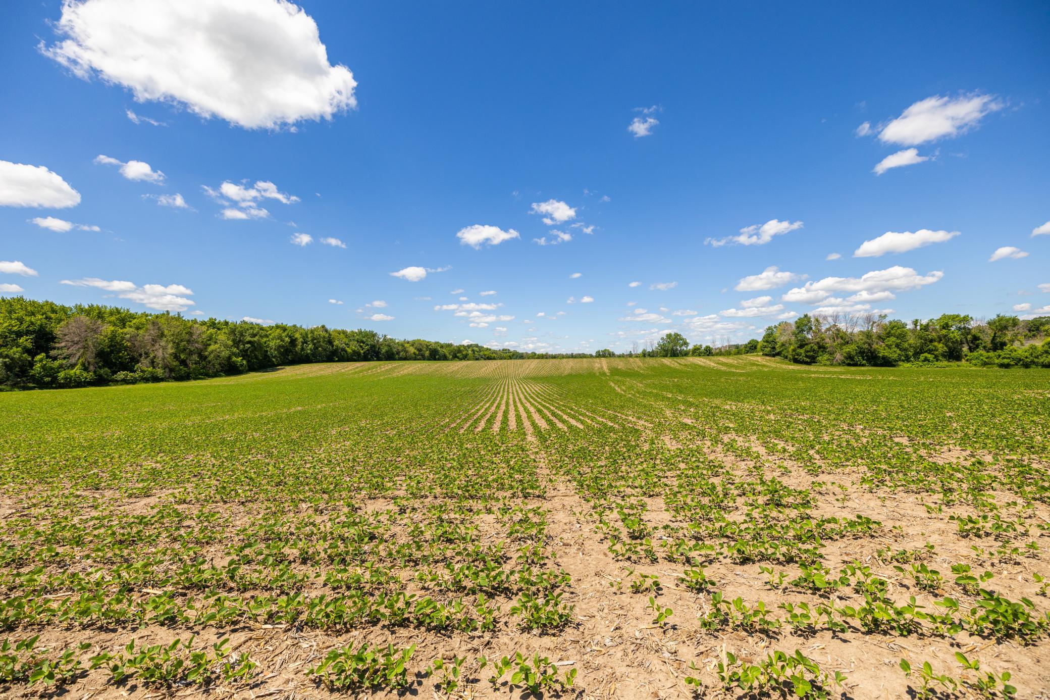 Tbd Base Line Road Northfield, MN 55057 - Photo 7 of 51