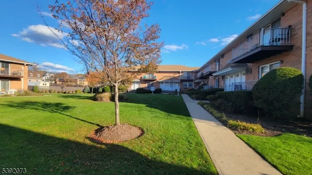 a view of a house with a yard deck and a large tree