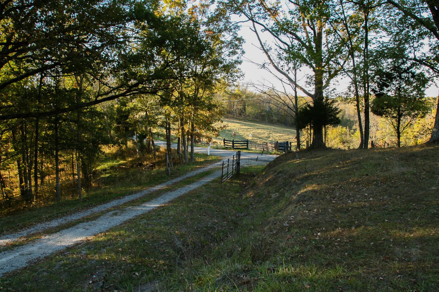 701 Northeast County Line Road Sadieville, KY 40370 - Photo 4 of 27 Photo 4
