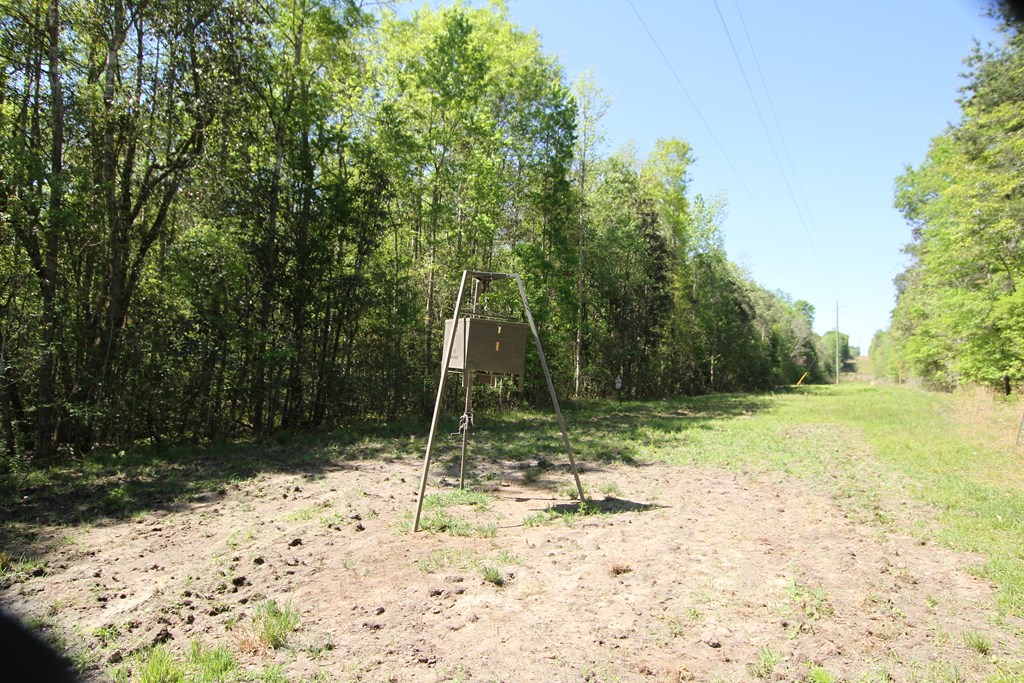 2500 Dean Church Road Ozark, AL 36360 - Photo 6 of 16